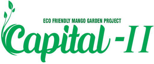 Capital 2