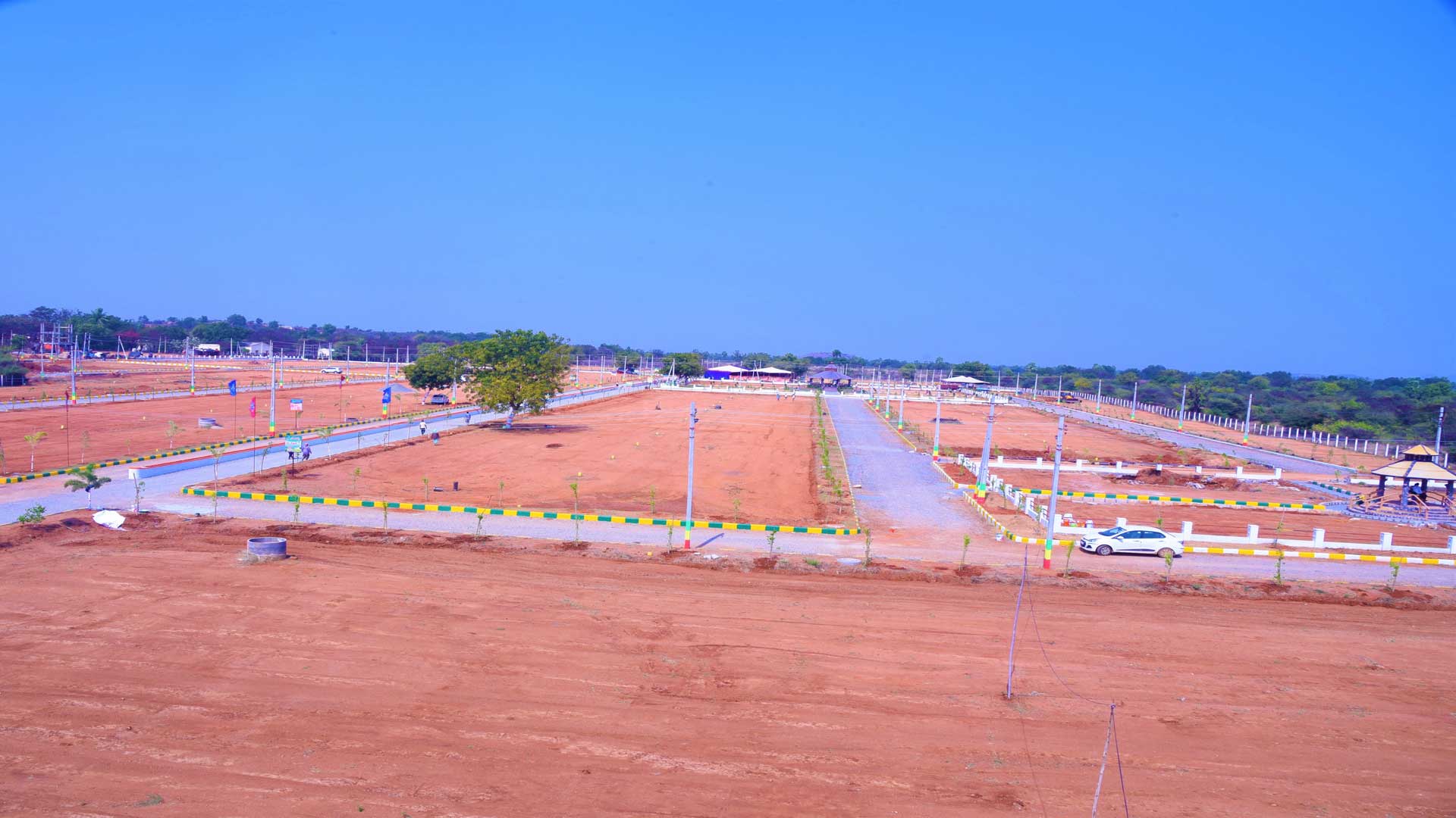 Gallery Image 6