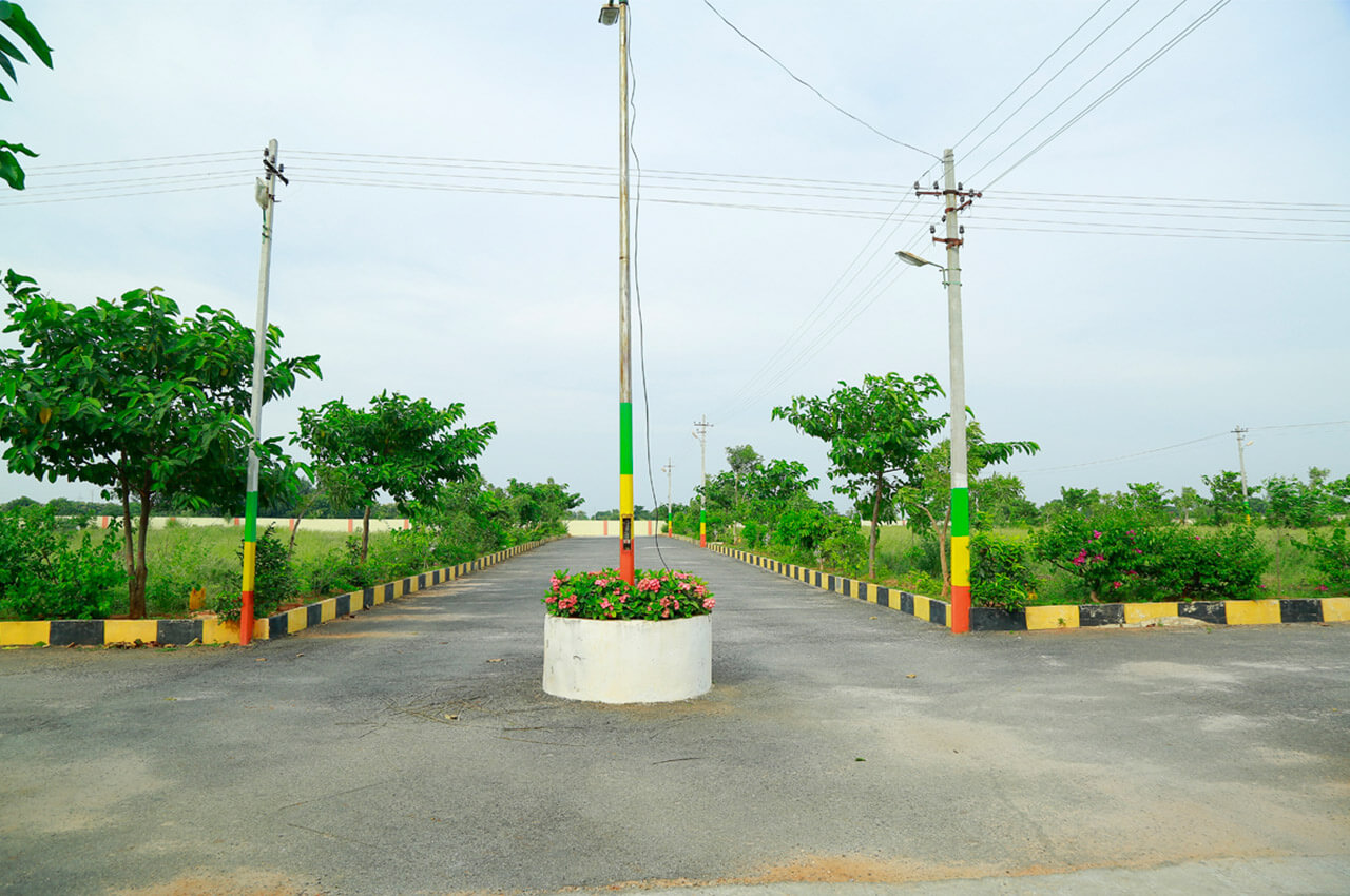 Gallery Image 12