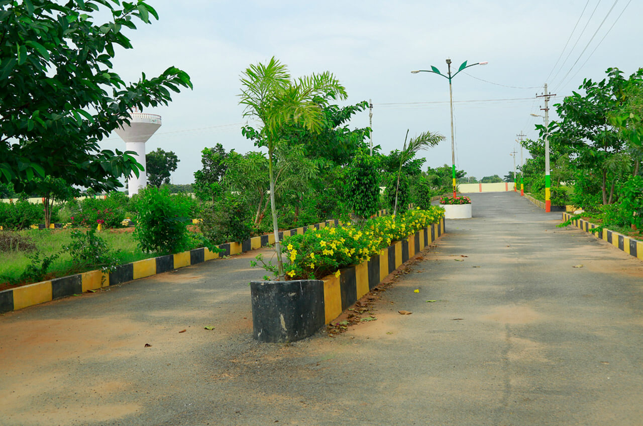 Gallery Image 13