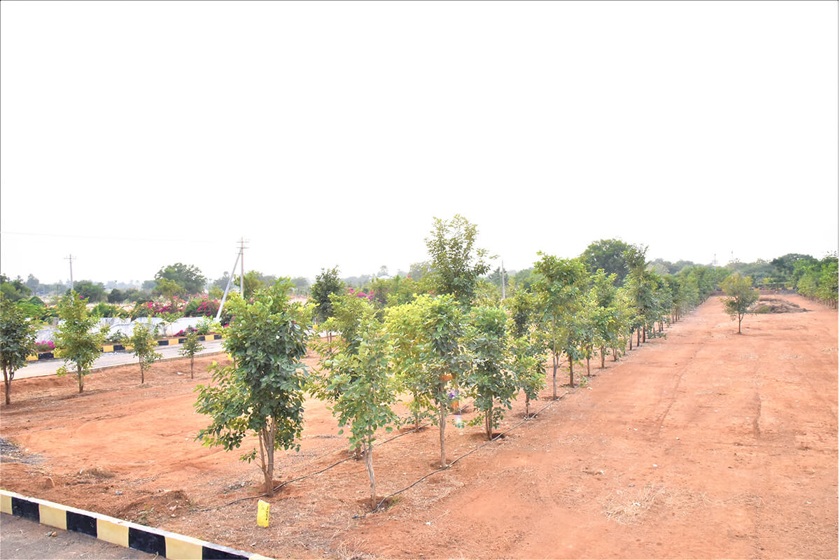 Gallery Image 10
