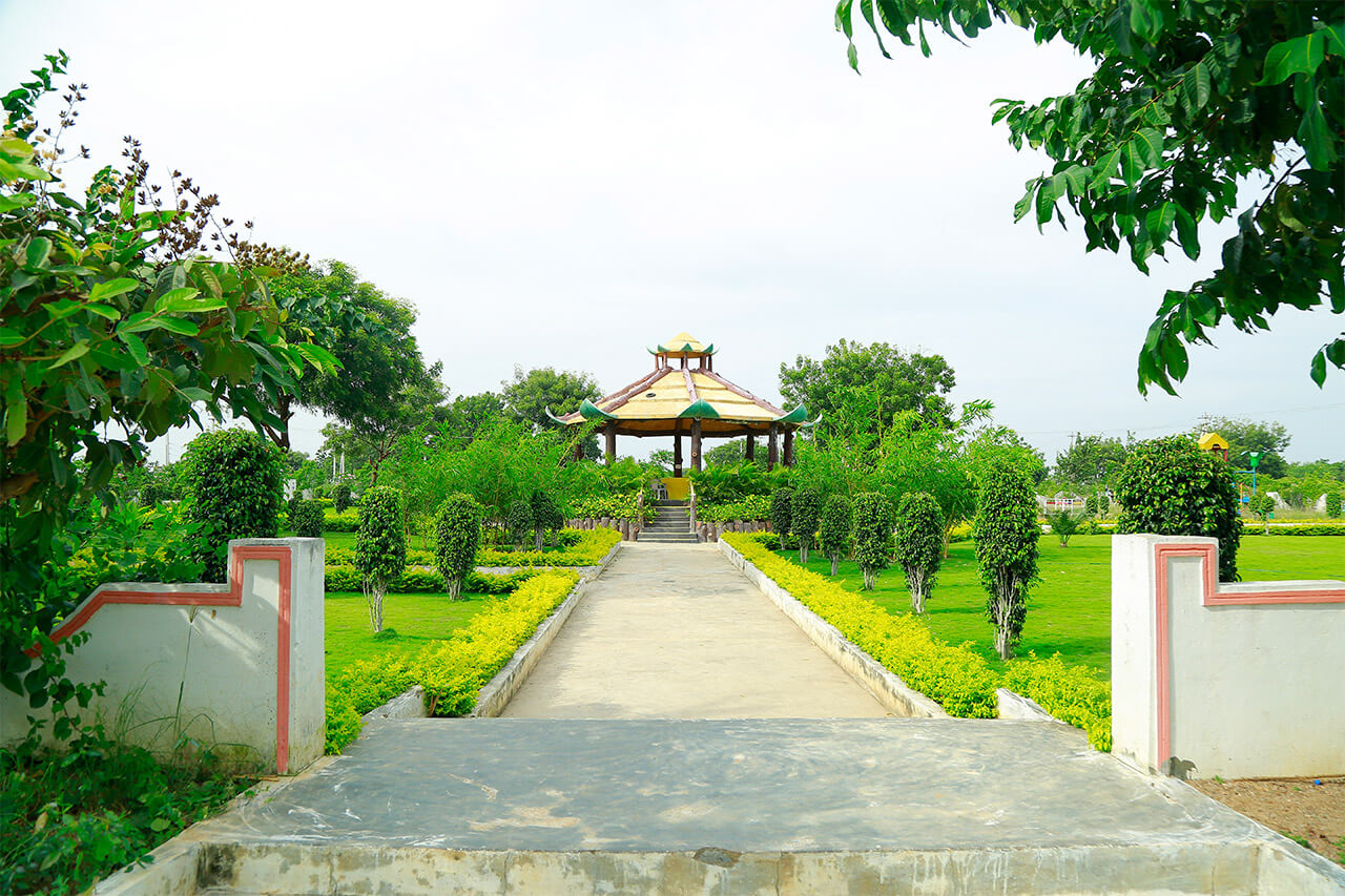 Gallery Image 22