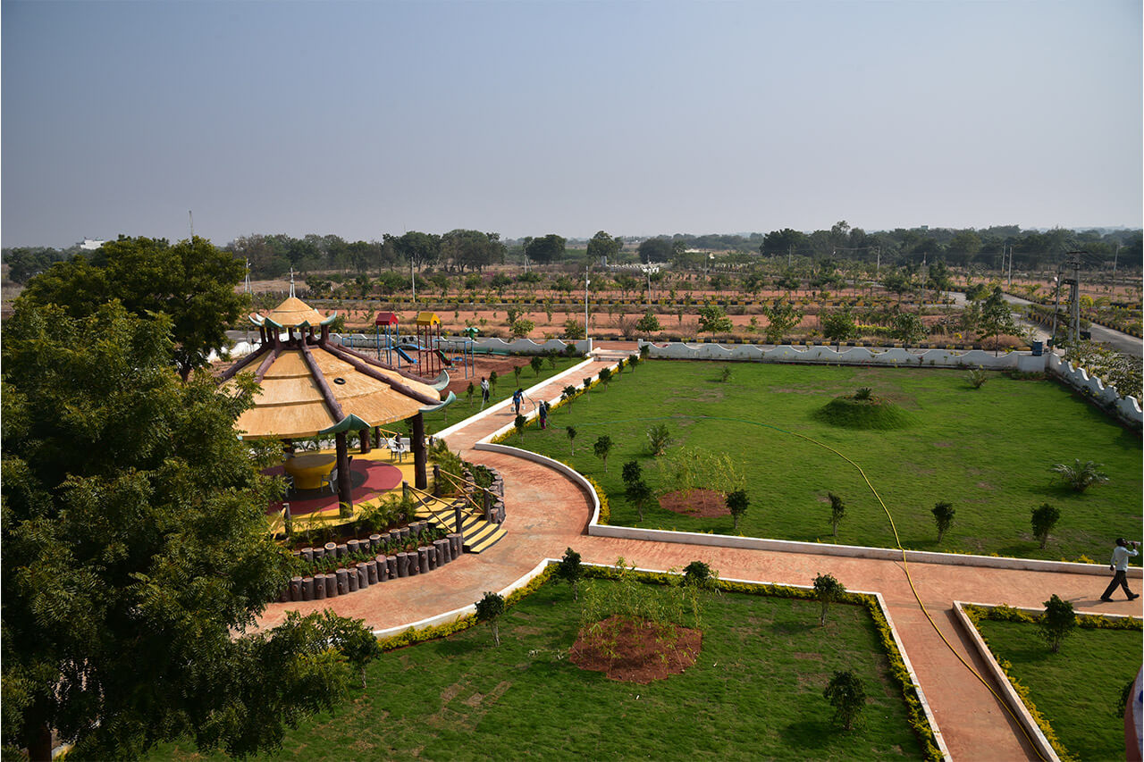 Gallery Image 6