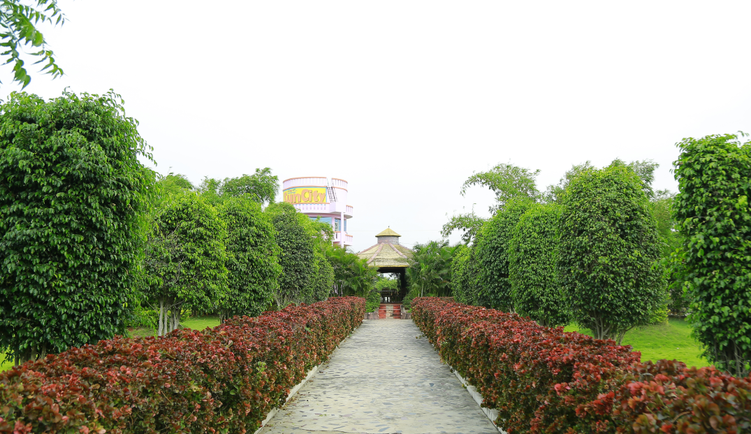 Gallery Image 12