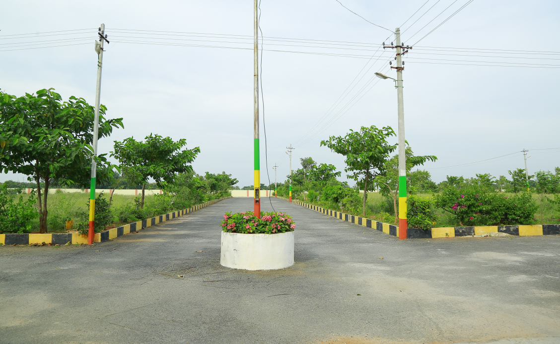 Gallery Image 10