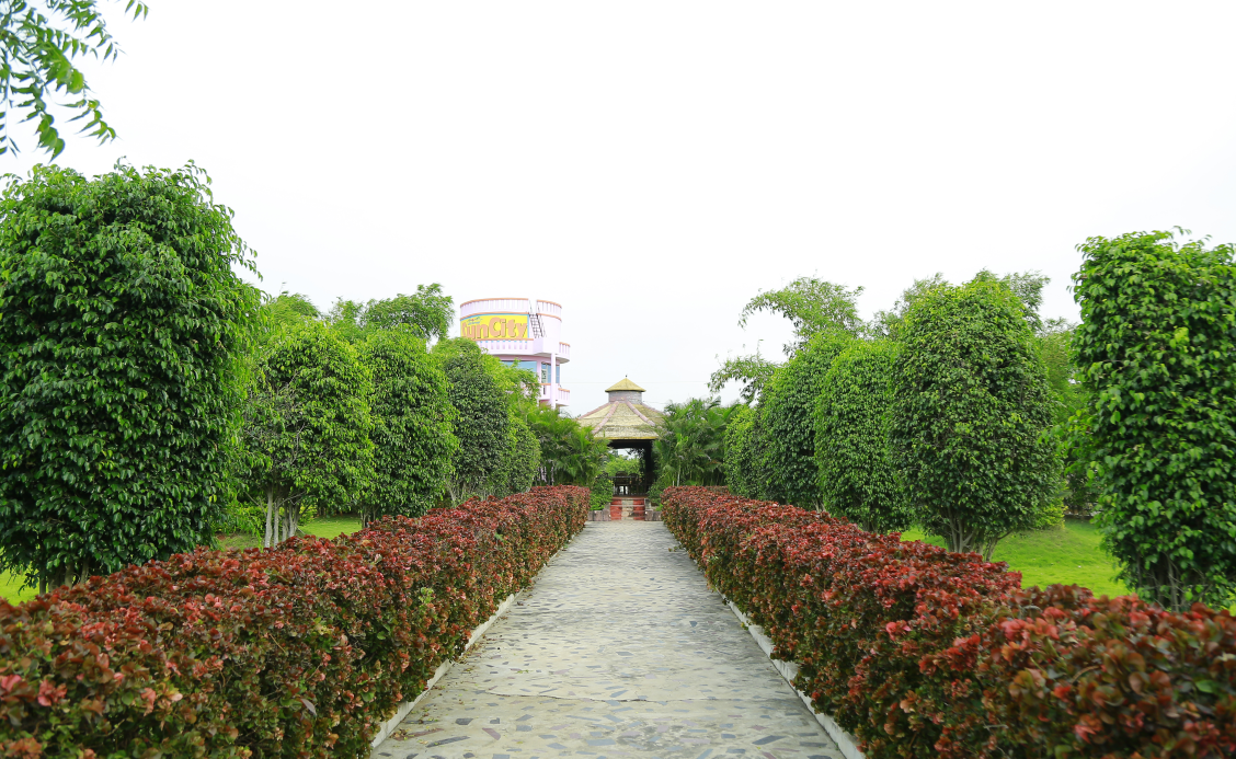 Gallery Image 11