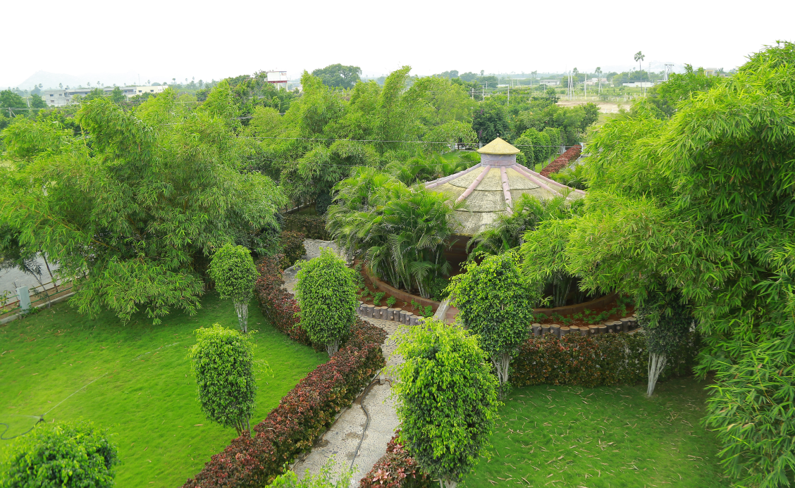 Gallery Image 12