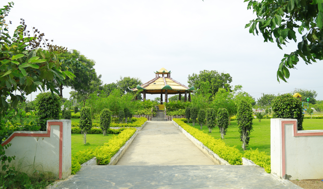 Gallery Image 11
